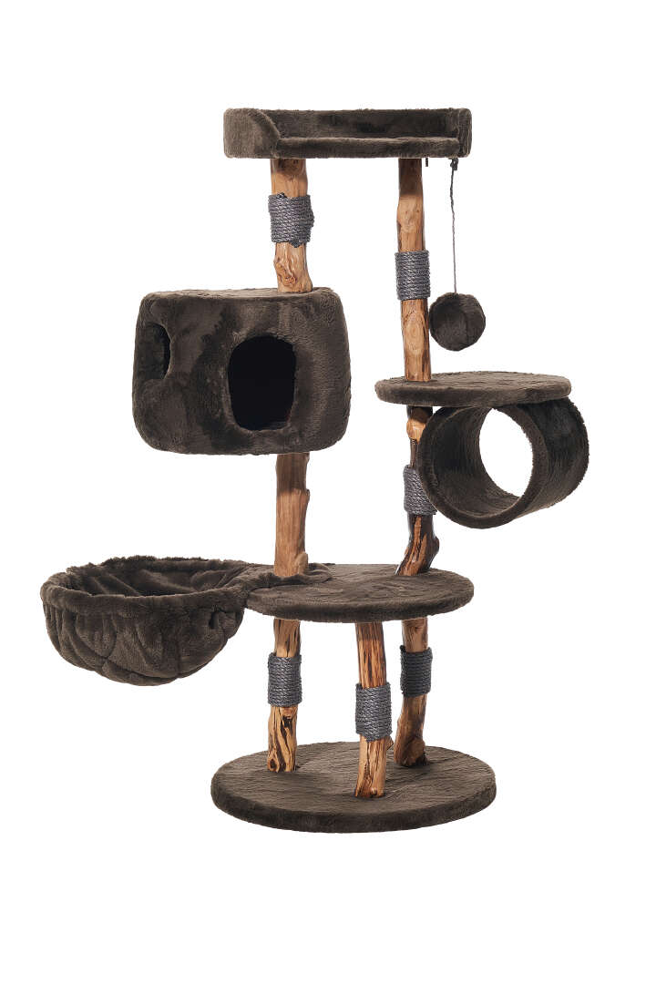 Nobby Kratzbaum Gena